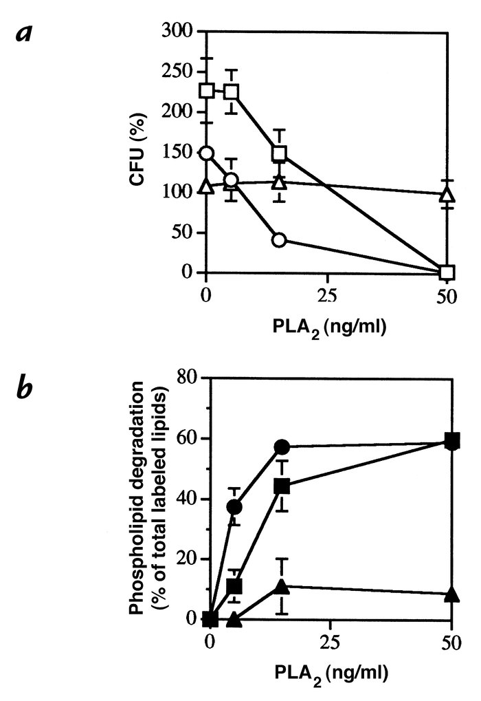 Ampicillin promotes and erythromycin inhibits PLA2-mediated killing and ...
