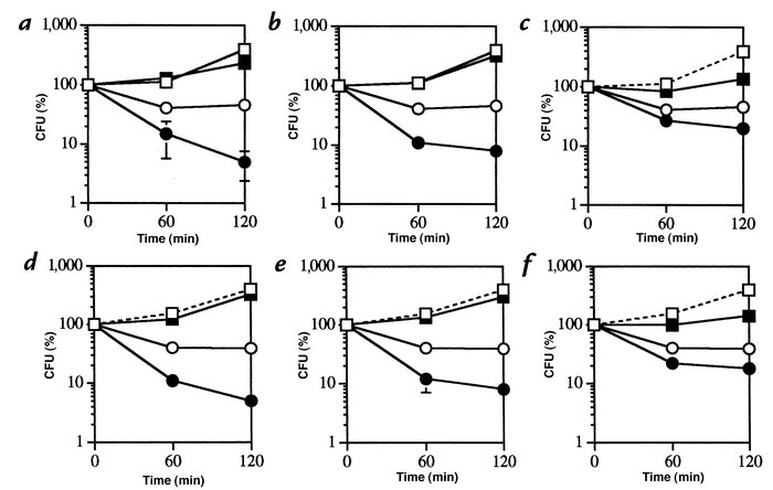 Cell-wall active antibiotics can act synergistically or additively with ...