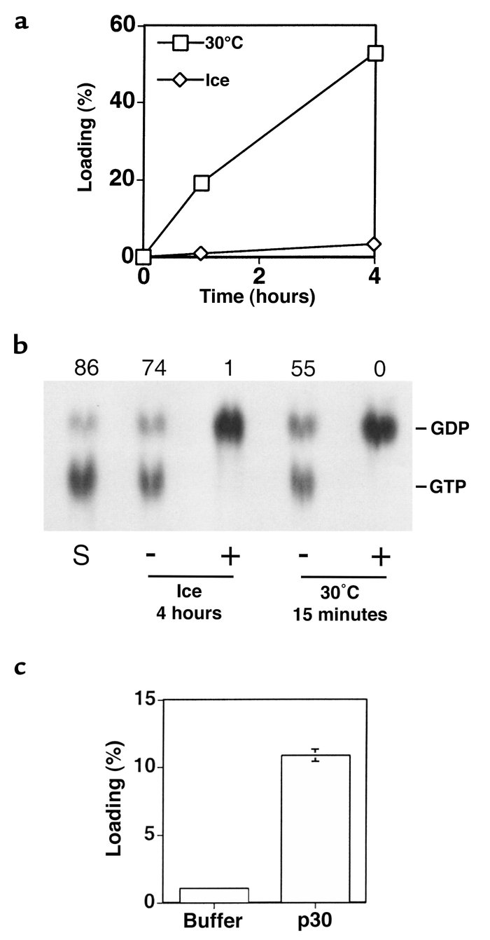 In vitro Ras-GTP association and hydrolysis at 0°C. (a) Ras-GDP complex ...