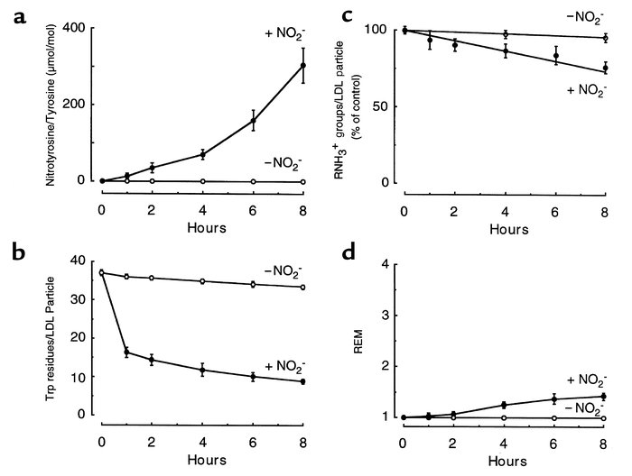 Characterization of multiple protein components of LDL exposed to the MP...