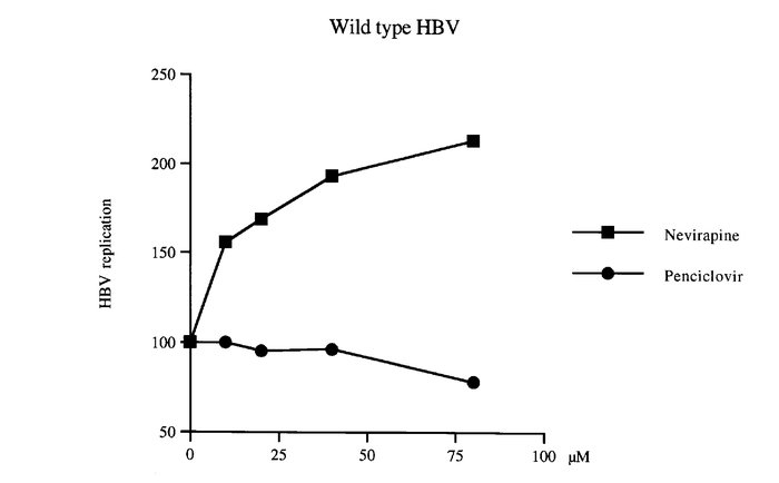 Lack of susceptibility of HBV to penciclovir and nevirapine. Drug inhibi...