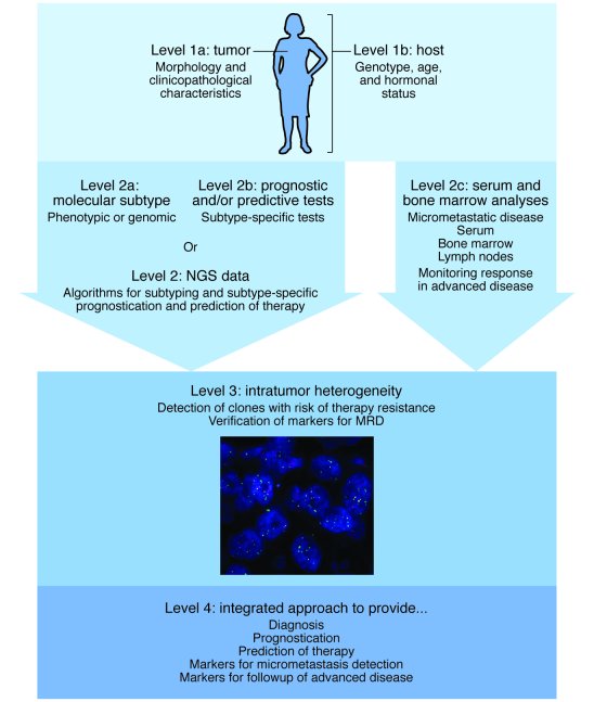 A multilevel approach for a dynamic classification system.
The first lev...