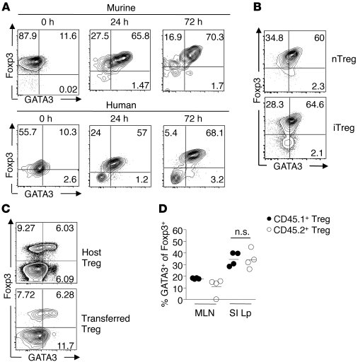 TCR activation triggers GATA3 expression in mouse and human Tregs.
(A) E...