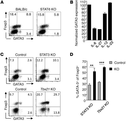 Cytokine regulation of GATA3 expression by Tregs.
(A) GATA3 expression i...