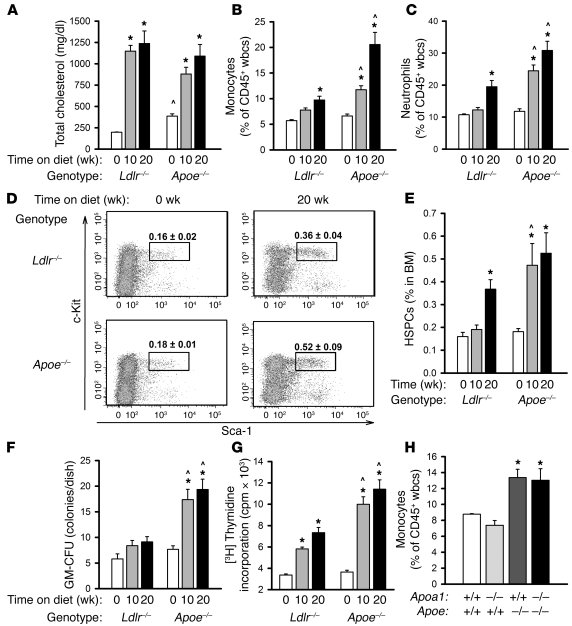 Feeding Ldlr–/– and Apoe–/– mice a WTD induces leukocytosis, expansion o...