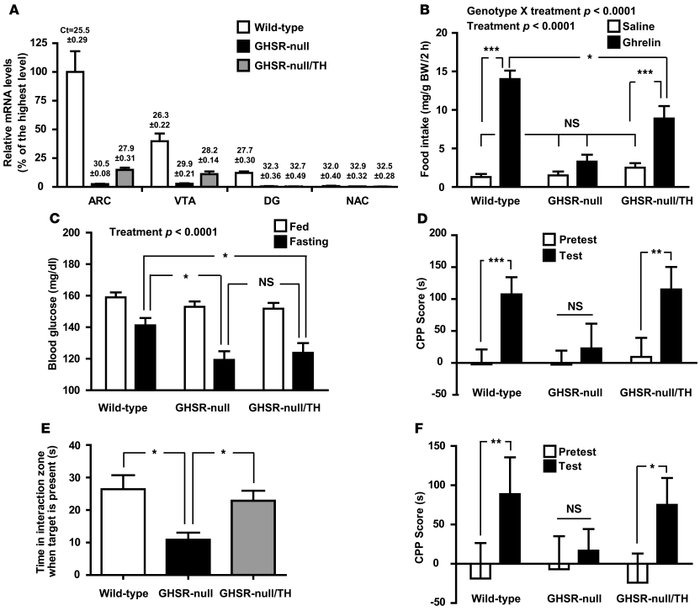 Selective GHSR expression in catecholaminergic neurons is sufficient for...