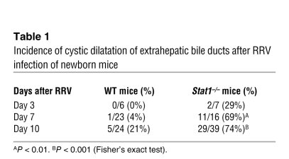 Incidence of cystic dilatation of extrahepatic bile ducts after RRV infe...