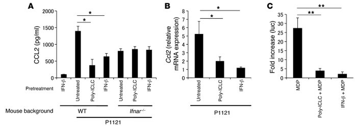 IFN-β inhibits production of CCL2 in peritoneal macrophage stimulated wi...