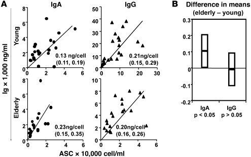 Yield of IgG and IgA per ASC in young and aged vaccinees.
(A) Yield of s...