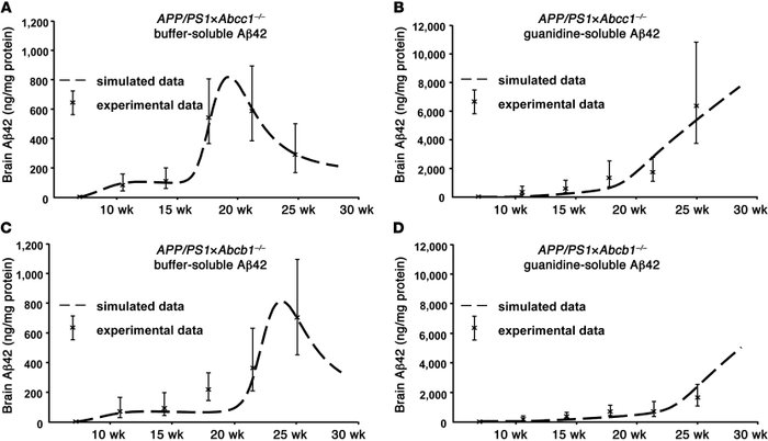 Simulation and prediction of Aβ proteostasis regulated by ABC transporte...