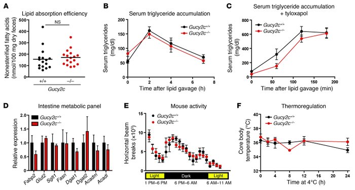 GUCY2C-deficient mice do not display increased lipid absorption efficien...