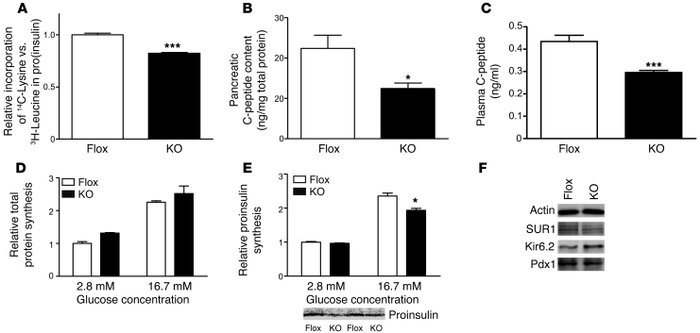 Aberrant insulin synthesis in the pancreatic β cells of β cell KO mice.
...