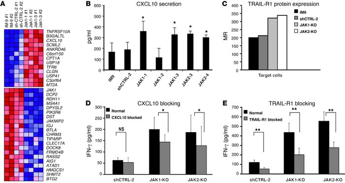 Top 34 differentially expressed genes in IM-9-JAK1-KO compared with cont...