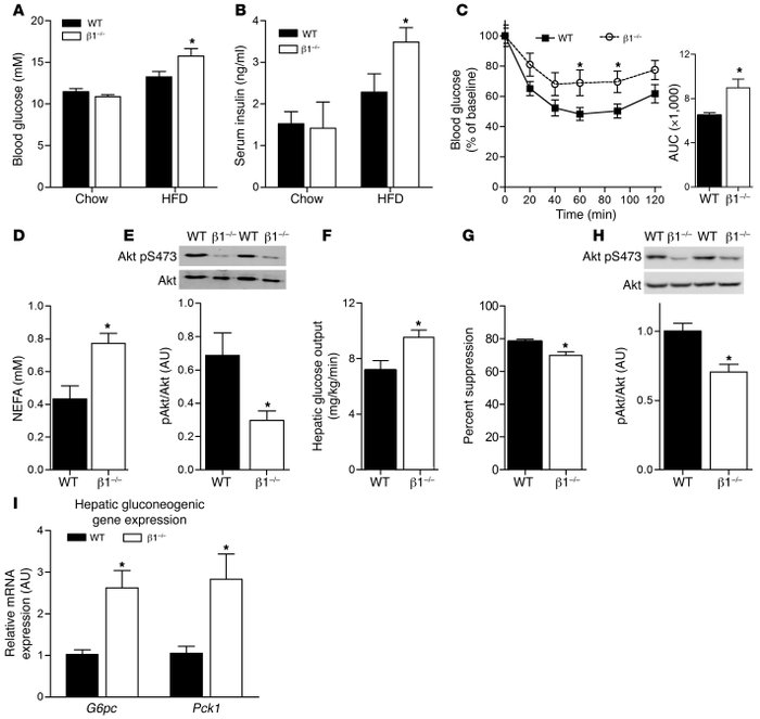 Hematopoietic deletion of AMPK β1 causes adipose tissue and hepatic insu...