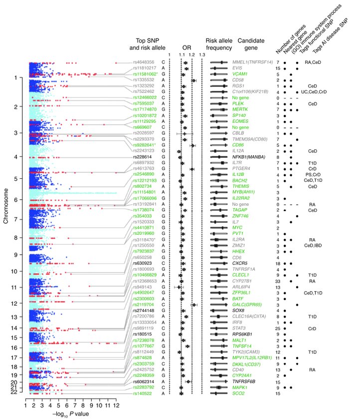 Genome regions showing association with MS.
Evidence for association fro...