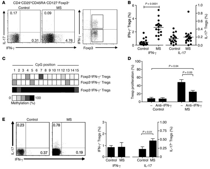 Tregs from individuals with RRMS secrete IFN-γ ex vivo.
(A) The frequenc...