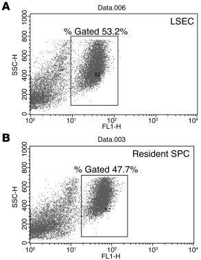 Persistence of engraftment and expansion.
Resident SPCs were isolated fr...