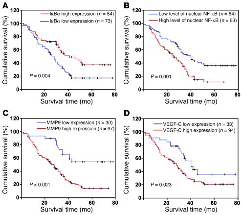 The prognostic significance of the NF-κB signaling pathway in gliomas.
K...