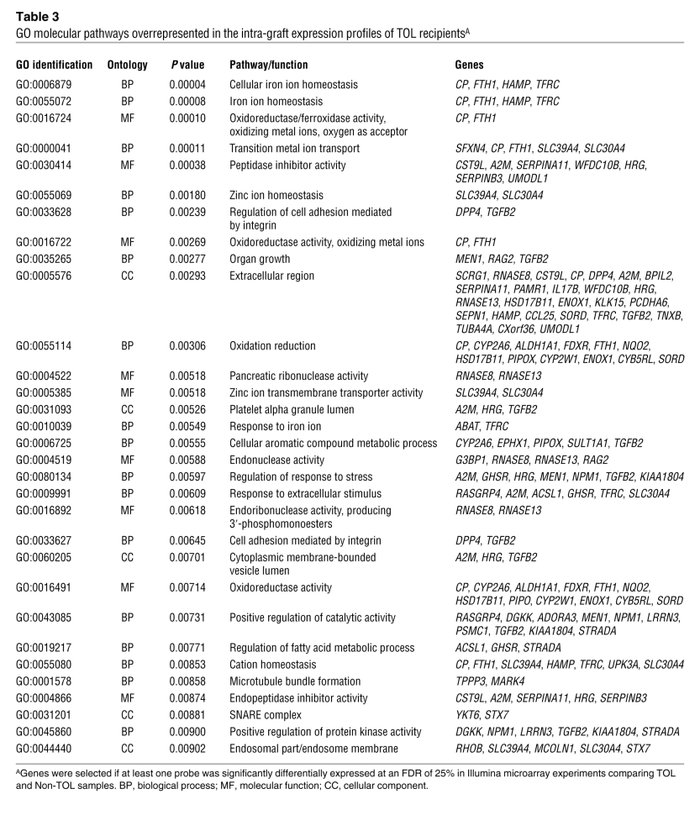 GO molecular pathways overrepresented in the intra-graft expression prof...