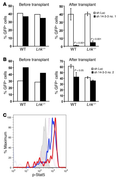 14-3-3s regulate HSPC reconstitution in mice partially through the LNK/J...