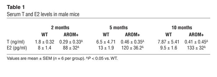 Serum T and E2 levels in male mice