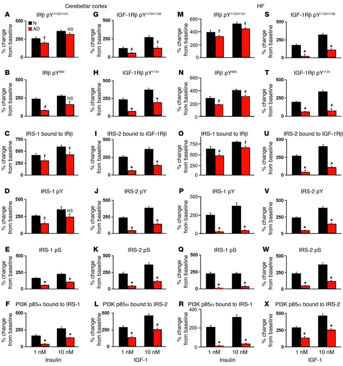 Direct demonstration of insulin and IGF-1 resistance in the cerebellar c...