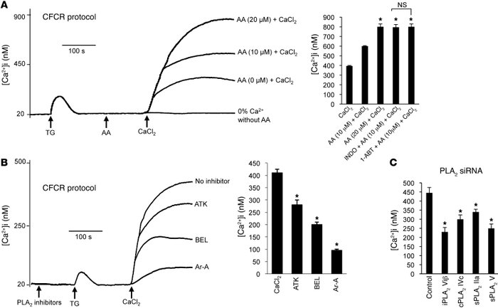 Implication of AA and PLA2 in Ca2+ influx in CD36-positive TBCs.
 
(A) T...