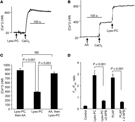 Effect of Lyso-PC or PLAP and AA on Ca2+ influx in CD36-positive TBCs.
 ...