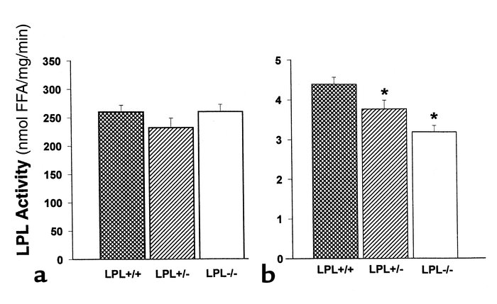 LPL activity in post-heparin plasma and heart tissue of C57BL/6 mice tra...