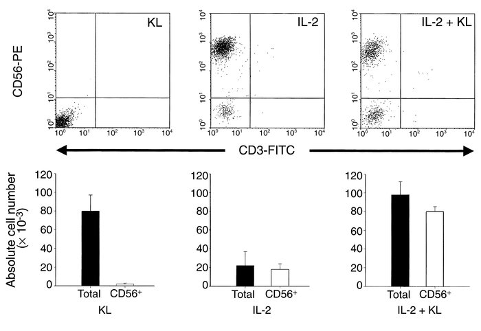JCI - Potential mechanisms of human natural killer cell expansion in ...