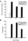 CD56bright cells cultured in 100 pM IL-2 maintain functional capacity relat