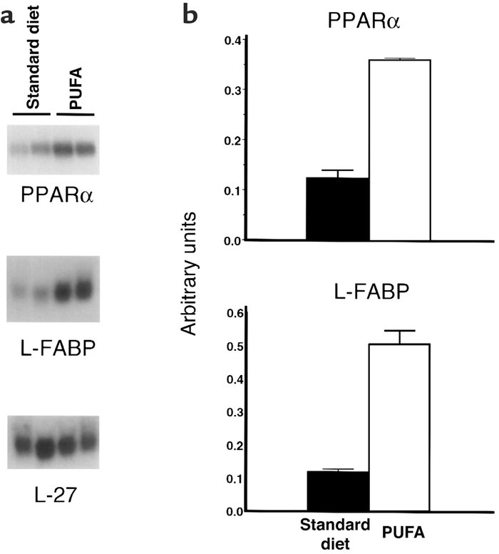 Prolonged feeding of a high unsaturated fat diet more strongly induces e...