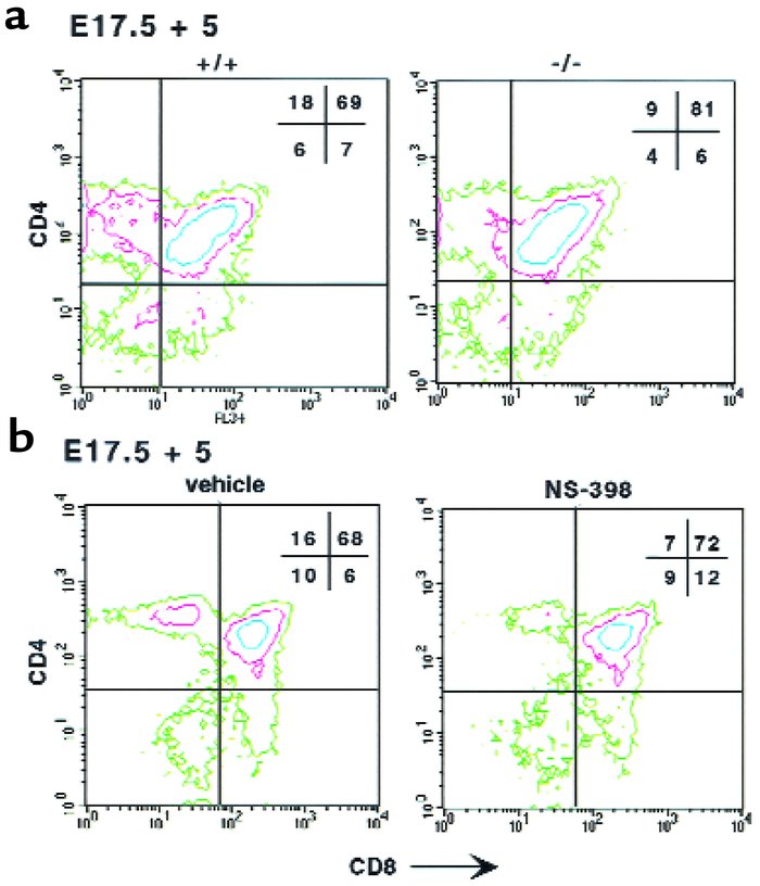 Flow cytometric analyses of thymocytes from COX-2–/– E17.5 FTOCs and wil...