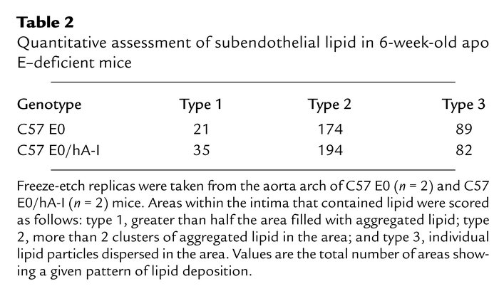 Quantitative assessment of subendothelial lipid in 6-week-old apo E–defi...