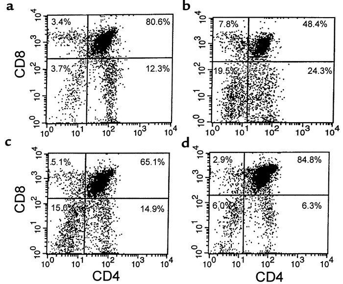Representative flow-cytometric analyses of thymocytes stained for CD4 an...
