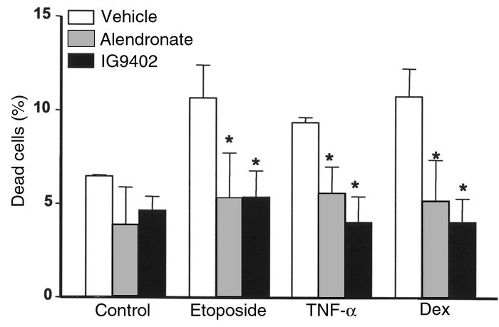 The protective effect of bisphosphonates on osteocytic cells is independ...