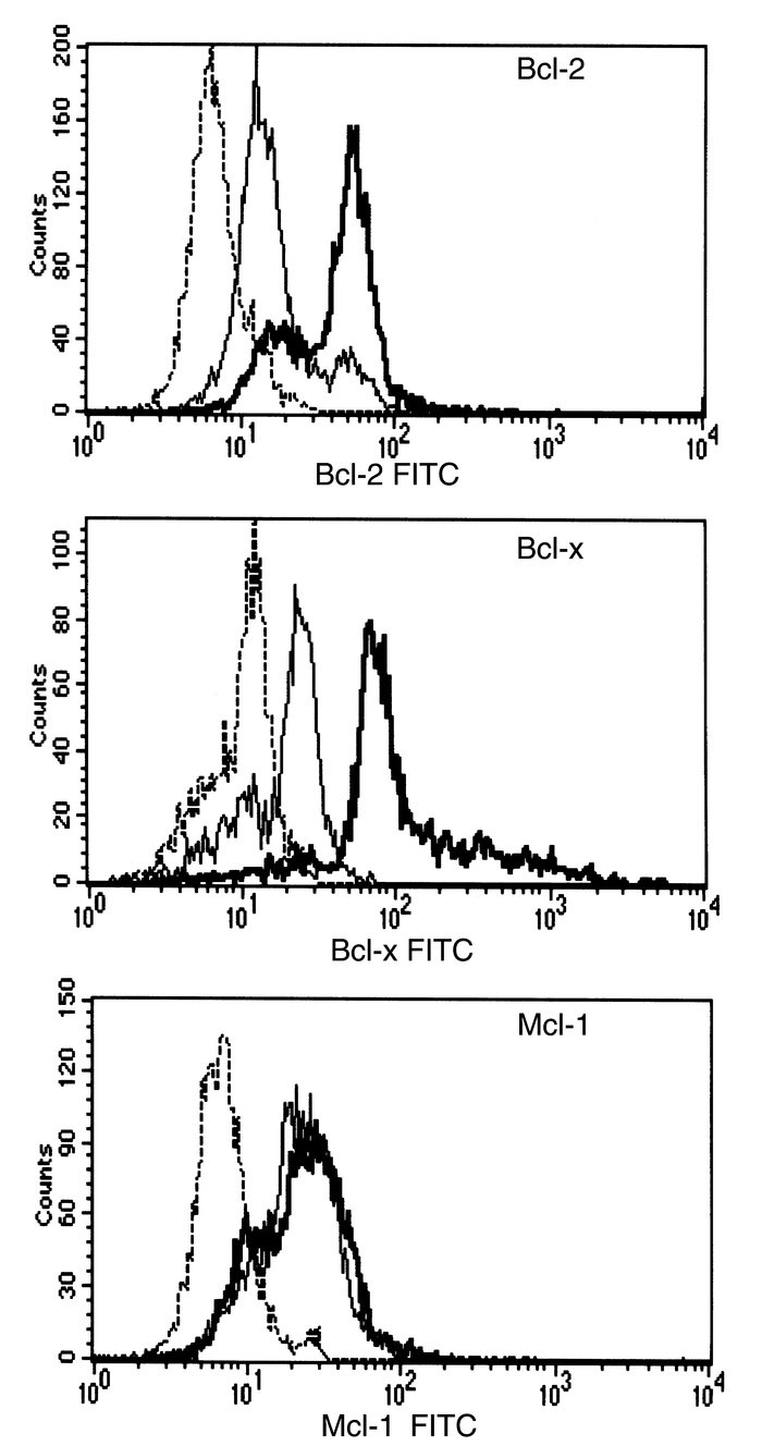 JCI - The high-affinity IgE receptor (FcεRI) blocks apoptosis in normal ...