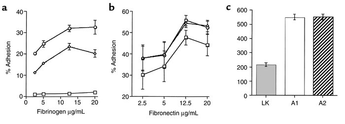 Adhesion of CHO cell lines to immobilized ligands. The 51Cr-labeled LK44...