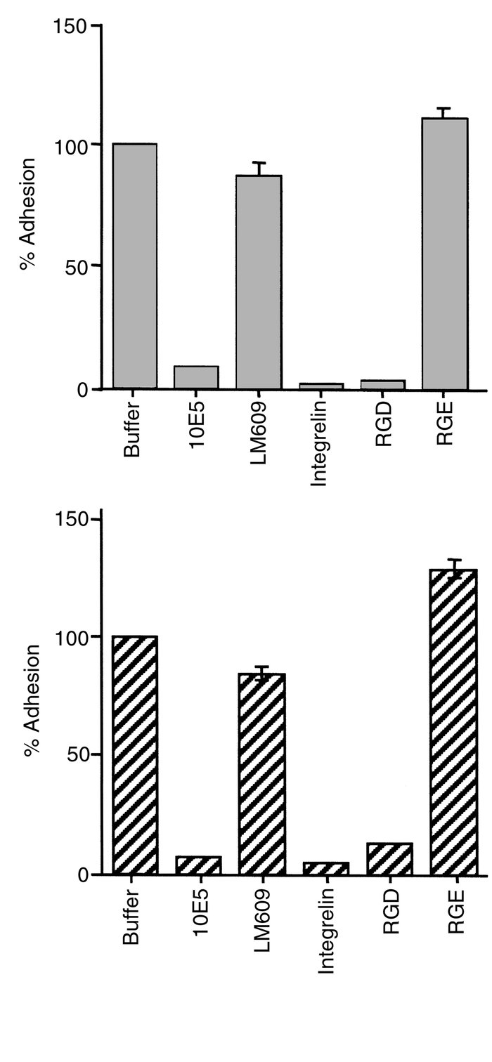 Adhesion of A1 and A2 CHO cells is αIIbβ3 specific. Adhesion was as in F...