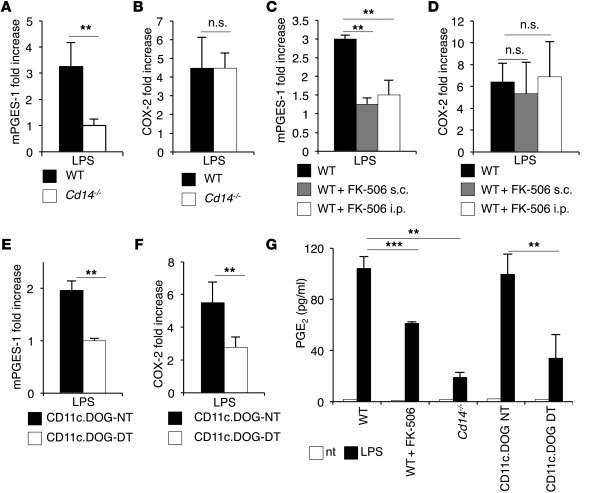 CD14-dependent NFAT activation induced by LPS in DCs regulates mPGES-1 e...
