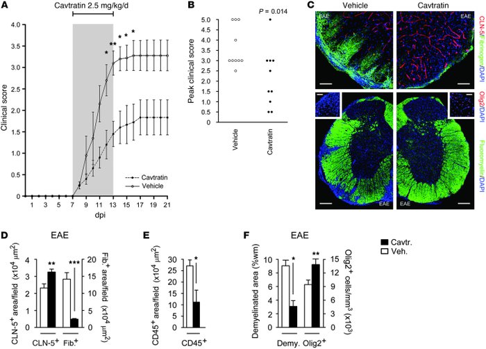 Reduced clinical severity and neuropathology of EAE in cavtratin-treated...