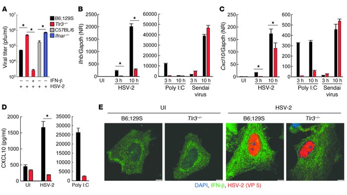 TLR3 is required for HSV-mediated induction of IFN-β signaling and resis...