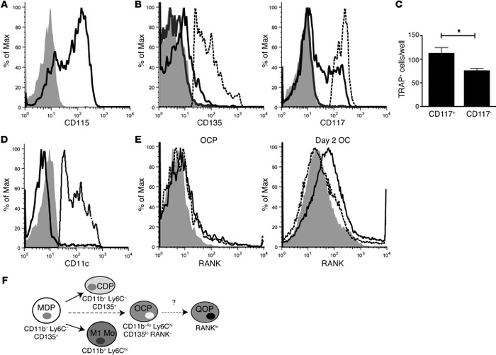 CD11b–/loLy6ChiCX3CR1+ OCPs are distinct from other myeloid precursors.
...