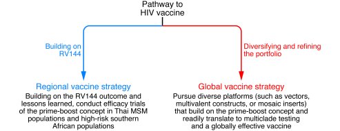 A framework for HIV vaccine development.
Two parallel pathways in an HIV...