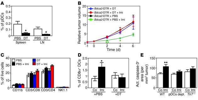 pDCs are responsible for the tumoricidal effect of Imi.
(A) Graph demons...