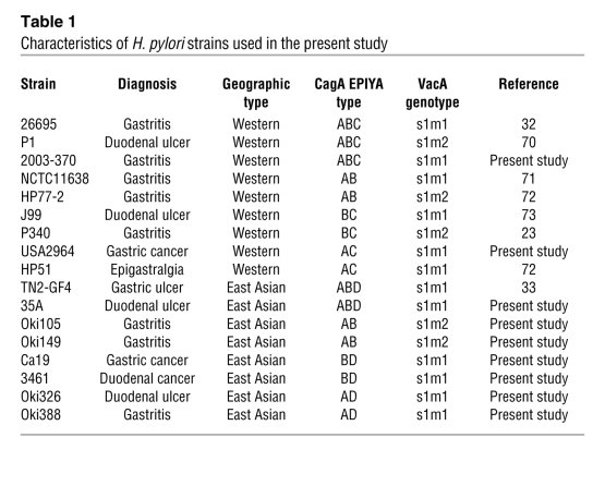 Characteristics of H. pylori strains used in the present study
   