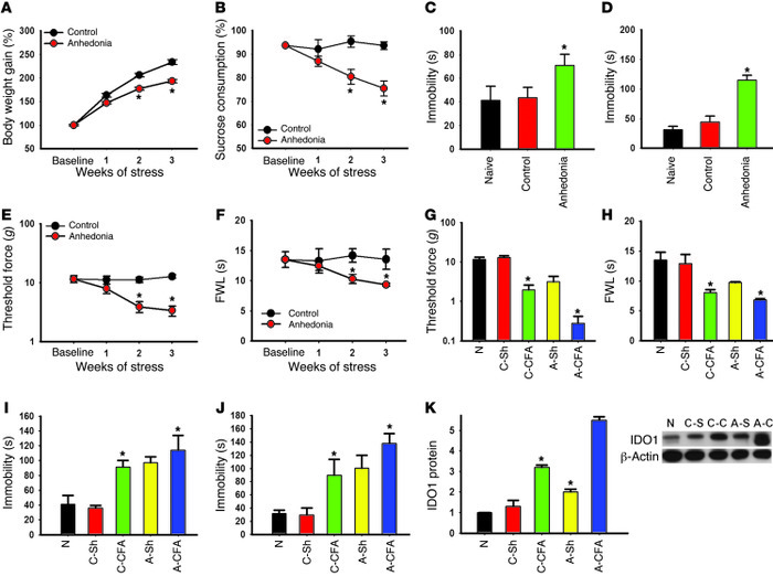 Relationship between anhedonic and nociceptive behavior.
(A) The body we...