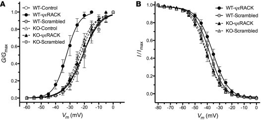 PKCε alters the voltage dependence of activation and steady-state inacti...