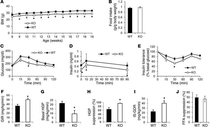 Effect of Gpr21 KO on BW gain, food intake, glucose tolerance, and insul...