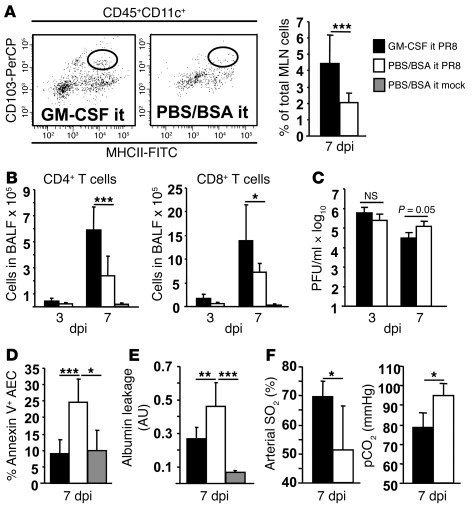 GM-CSF application i.t. increases CD103+ DC migration, alveolar T lympho...